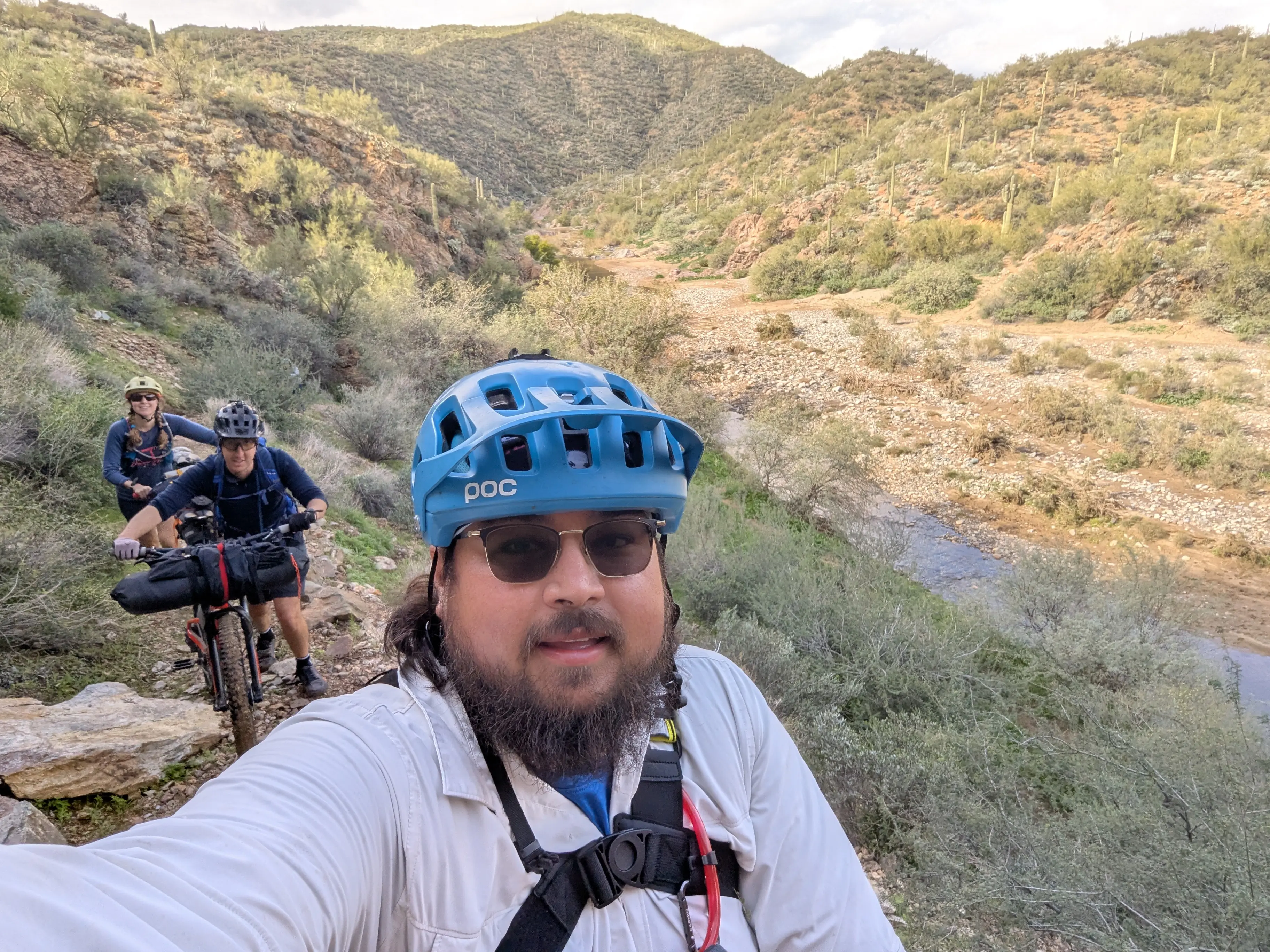 The Catalina Foothills